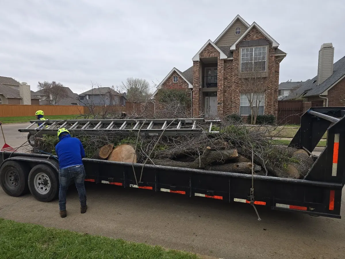 Expert Tree Fertilization with proper safety equipment in Blue River